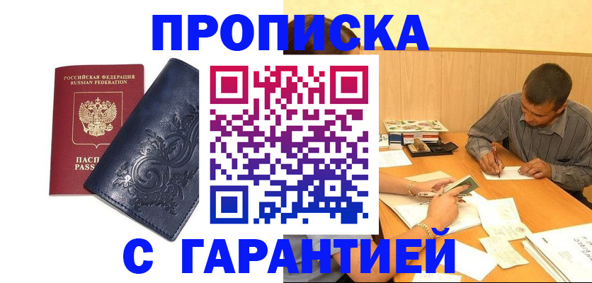 прописка поиск в Новодвинске